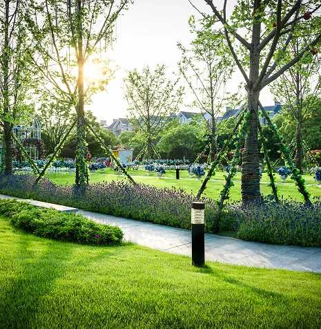 Services d'entretien de parcs et jardins